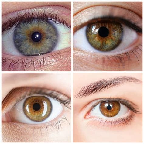 The color hazel is defined as a light golden brown, similar to that of a hazelnut. the best eye makeup for hazel eyes