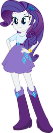 The Rainbooms Rainbow Rocks Equestria Girls