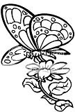 Another printable flower coloring book image of a butterfly drinking a flower's nectar.