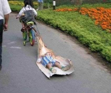 Funny Transportation 