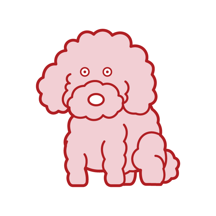 トイプードルのイラスト フリーイラスト素材 Kukukeke ククケケ