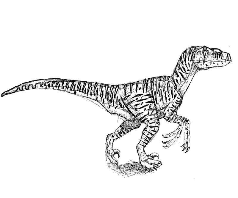 Free Durassic Coloring Pages Download Free Durassic Coloring Pages Png Images Free Cliparts On Clipart Library