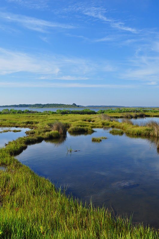 Jobe's Island (31)
