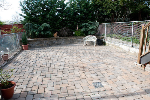 Backyard (1 of 3)