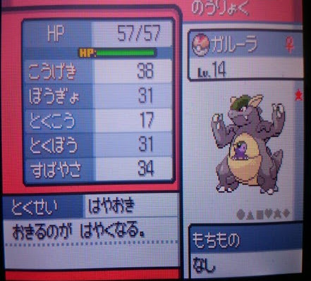 にわか勢のポケモン雑記 Hgss ガルーラ野生乱数