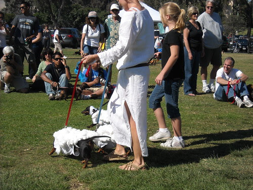 halloweenie 2009 076