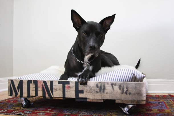  pallet into a stylish dog bed remove the top boards from the pallet