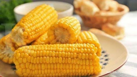 jagung rebus bikin gendut ga