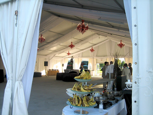 7th Annual Lumiere Gala