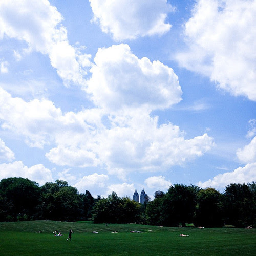 North Meadow