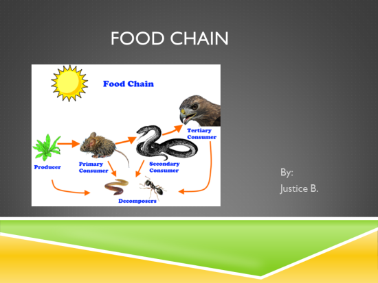 mosoklali: Food Chain In The Tundra