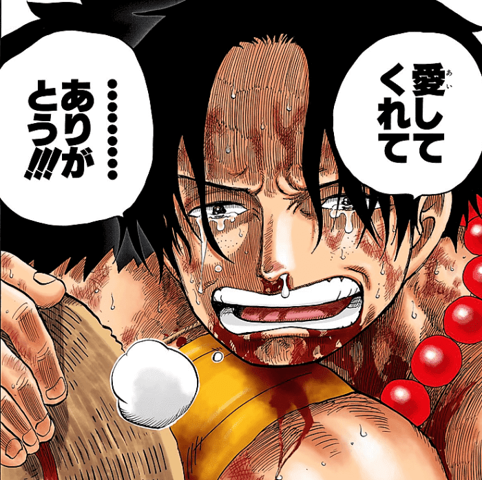 今までこんな俺を この鬼の血をひく俺を 愛してくれてありがとう ワンピース