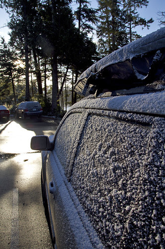 a fine dusting