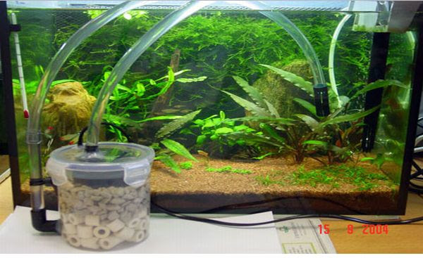 How to make a homemade aquarium filter
