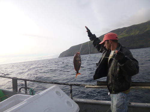 corvo pesca