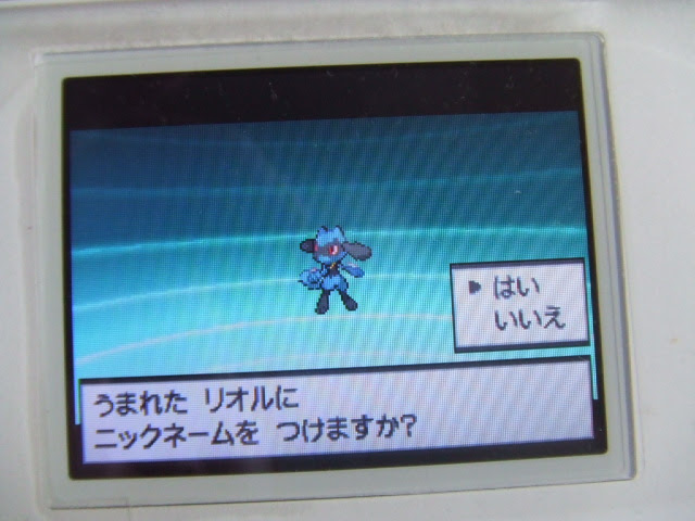ポケモンｂｗ ひょっとしてメス いないんじゃね プレイ日誌 突撃ヘタレのゲームプレイ日記