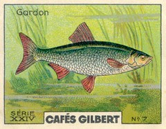 gilbert rivière 7