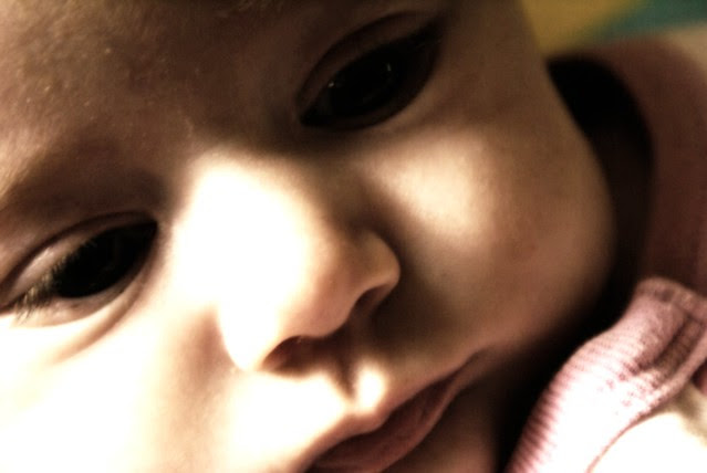 baby nola taken by boo