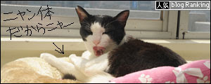 banner150401.jpg