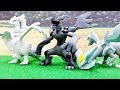 モンコレ 最強セット 857070