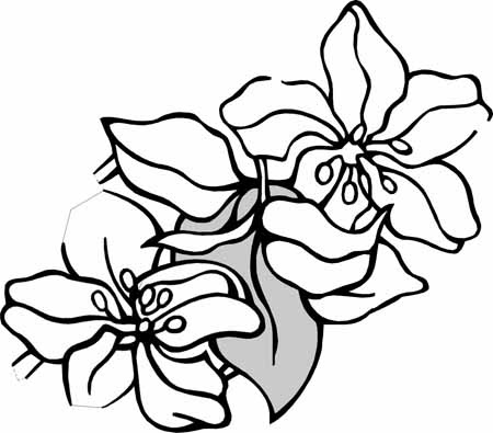 Kitty Coloring Sheets on Your Free Coloring Pages Are Here A Big Variety