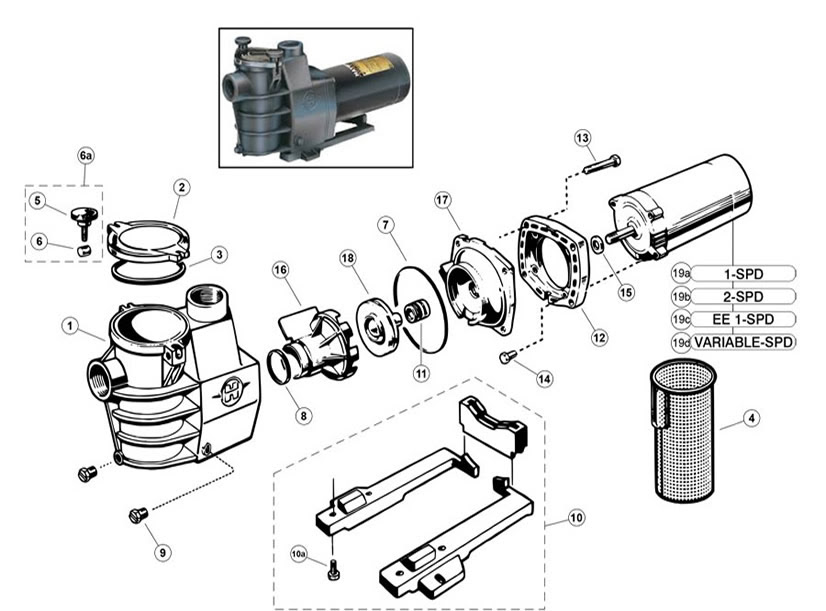 Pentair Pool Pump Diagram - Free Wiring Diagram