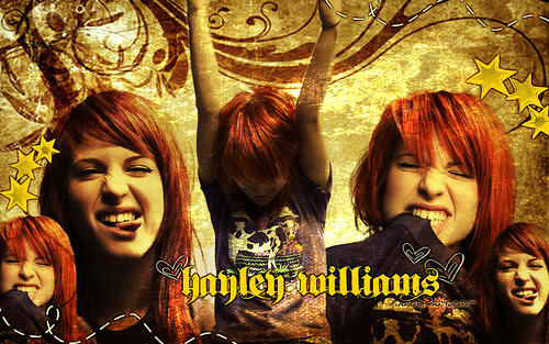 hayley williams wallpaper ignorance. hayley williams wallpaper