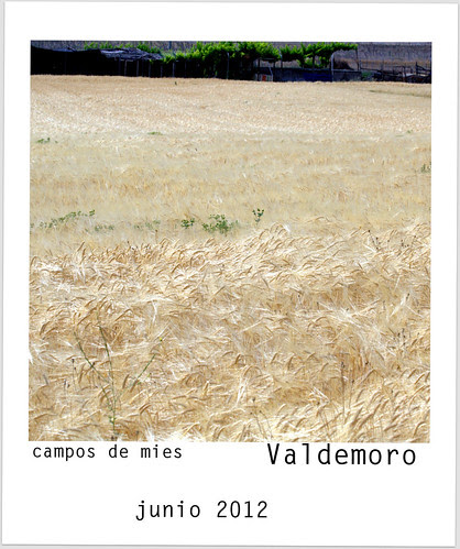 mies en Valdemoro