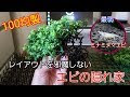 √100以上 水槽 隠れ家 自作 140984-水槽 隠れ家 自作