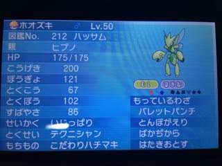 Oras ラティハッサムマリルリ シングル Baladium S Drive
