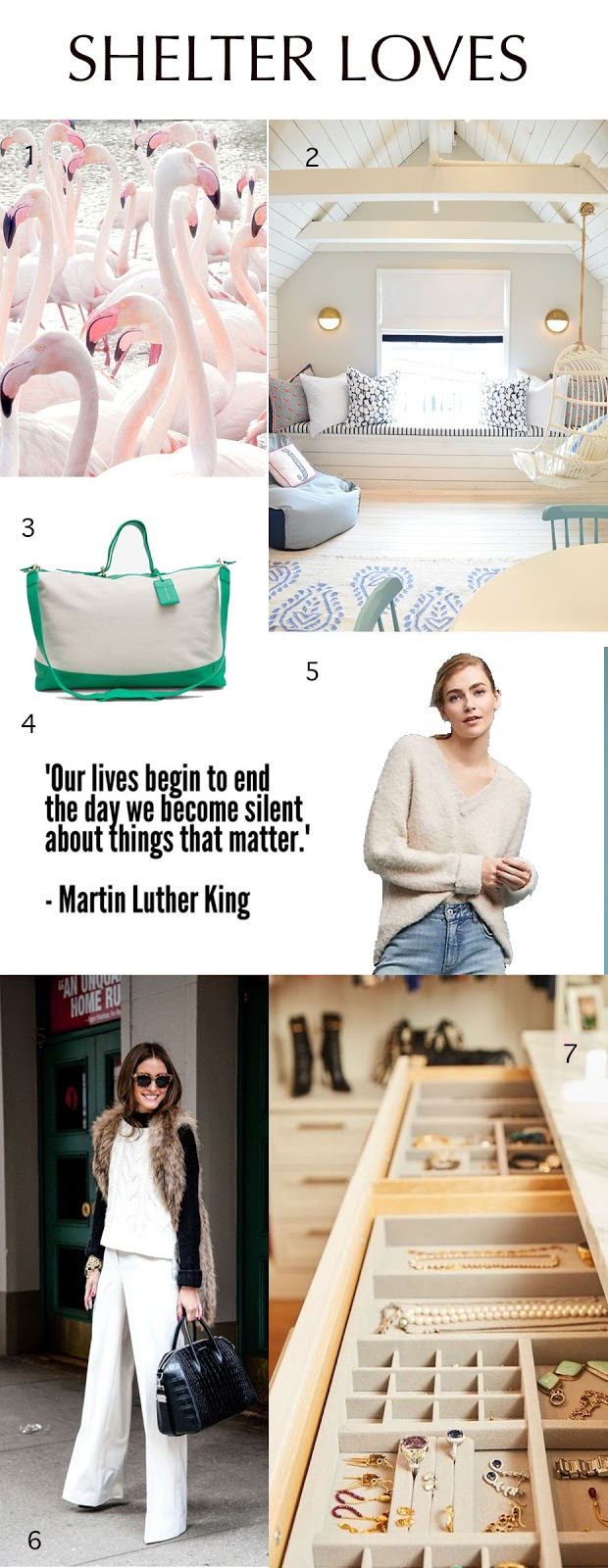 Shelter Loves-New Design