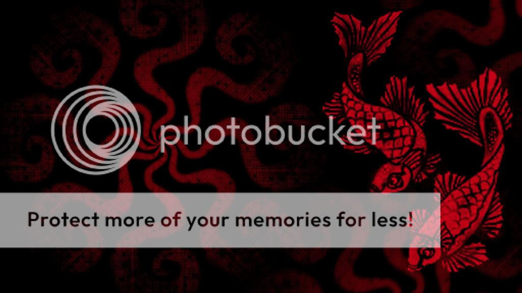 koi wallpaper. koi wallpaper