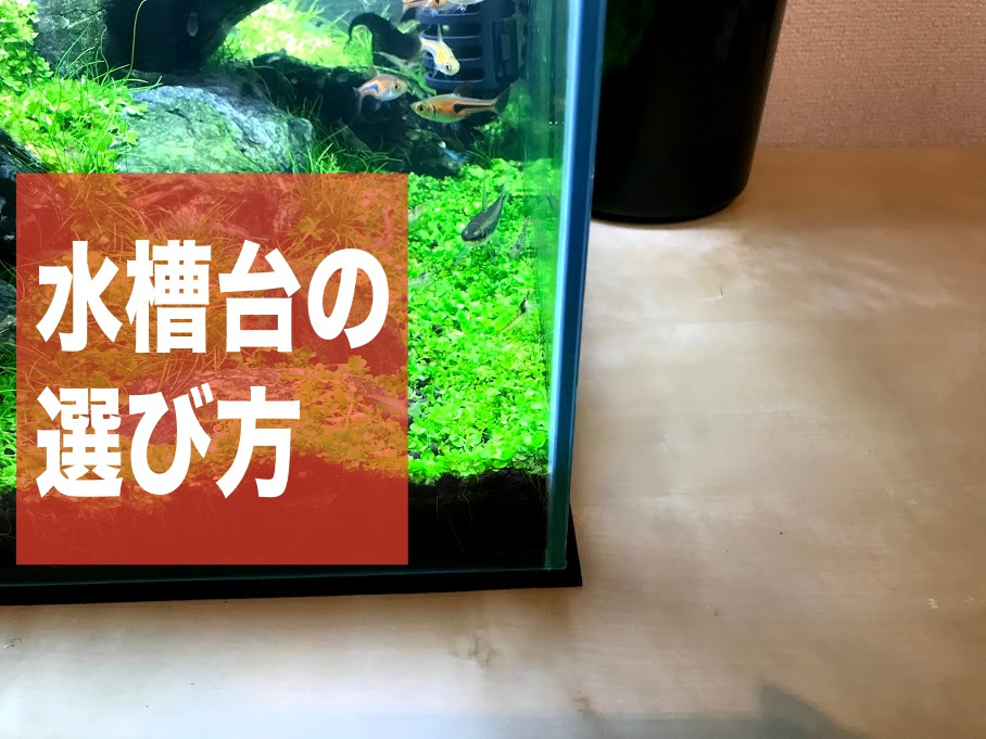 水槽台の選び方 インテリアにマッチするオシャレな水槽台を紹介 Aqua24アクアリウム