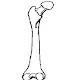 38 humerus unlabeled diagram