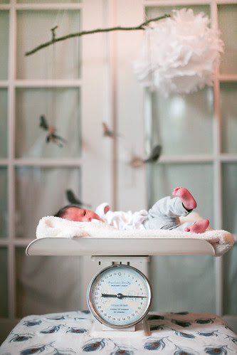 Bag Of Sugar. A ag of sugar