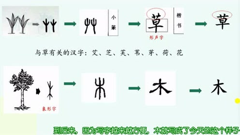 汉字茶 腾讯视频