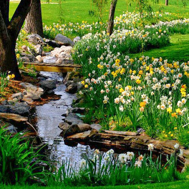small backyard landscaping  Garden ideas  Pinterest, 612x612 in 119 
