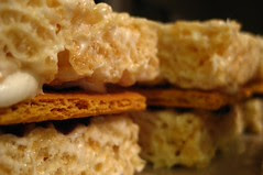 Rice Krispies? Meet S'mores. S'mores, Rice Kri...