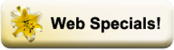 Web Specials!