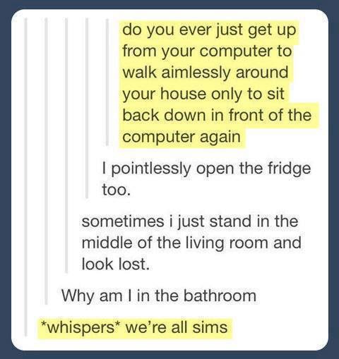 human sims