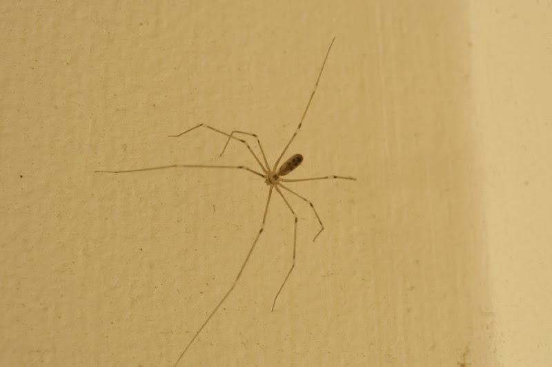 Jan - In my bathroom