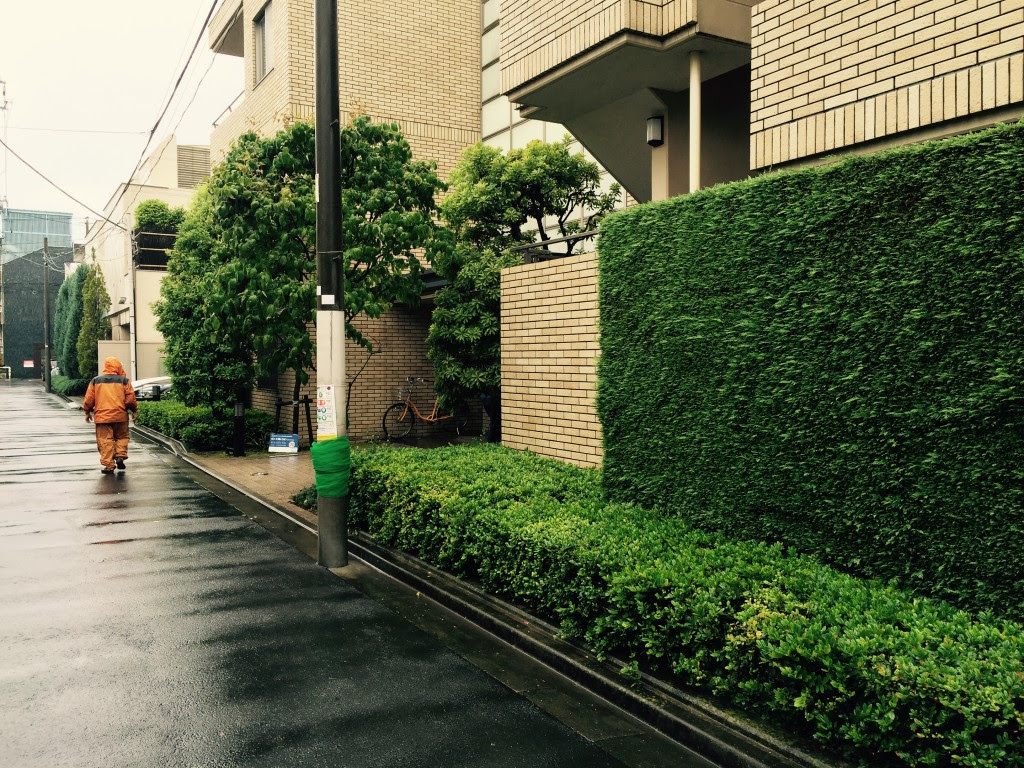 生け垣の刈り込み レイランディヒノキ サツキ ヒイラギモクセイ 植栽管理 みどり屋