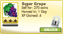 Super Grape Market Info
