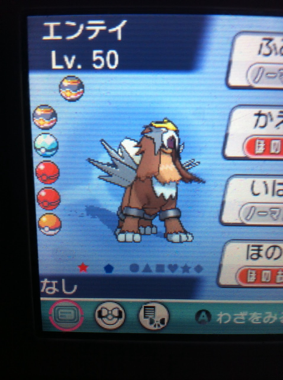 色違いに釘付け エンテイ Oras