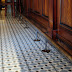 Bar With Foot Rail / Unfortunately, the bar foot rail is often an afterthought.