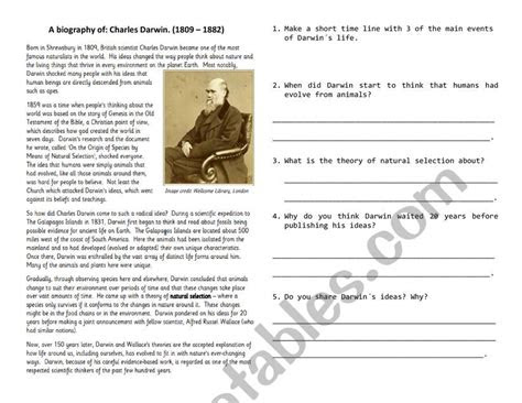  reading comprehension esl worksheet by berny1803