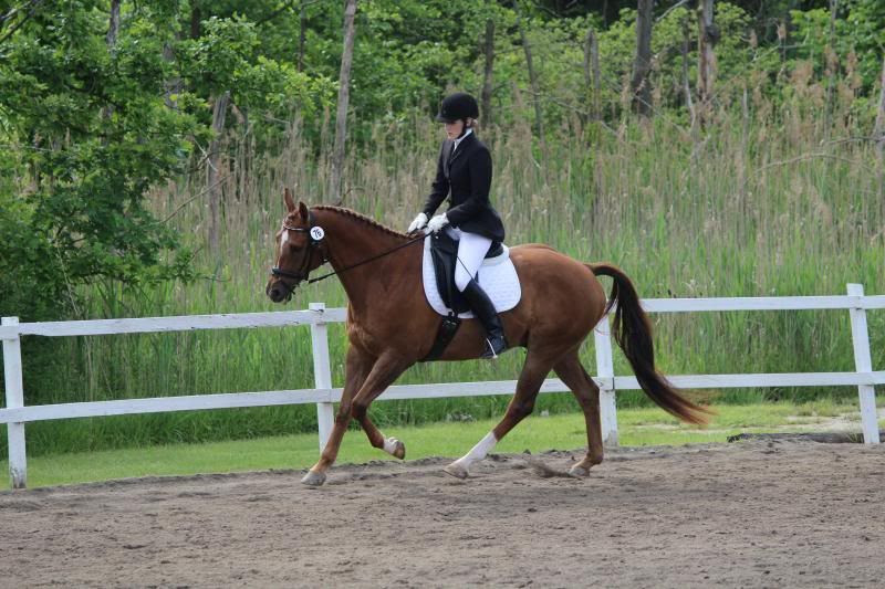  photo IMG_2295.jpg