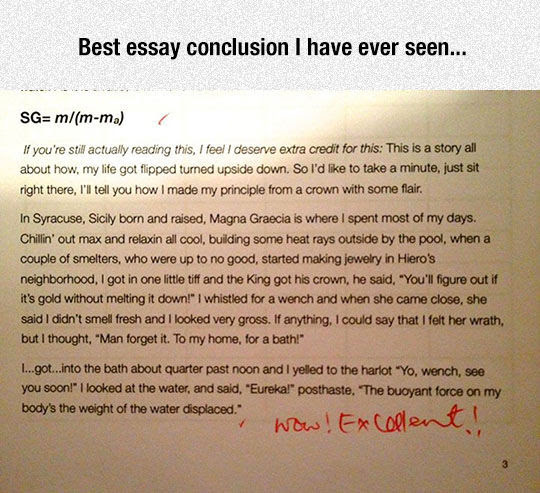 the best essay ever