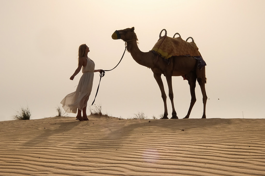Deserts of Dubai 