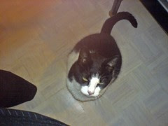 DSC01201.JPG